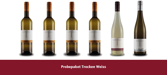 Trocken weiss, 0,75 Liter, Weingut Silbernagel, Ilbesheim